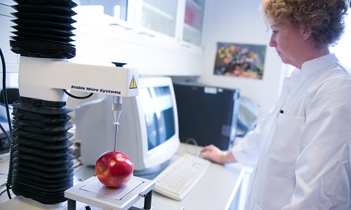 Food research